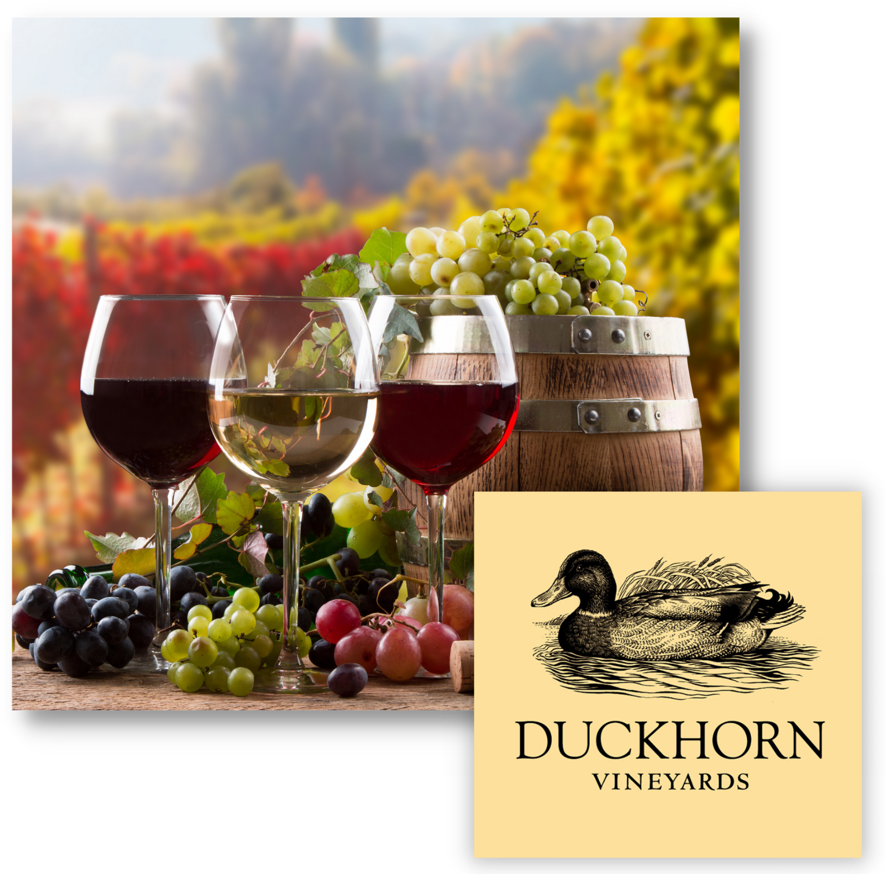 Wine LP image
